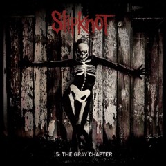Slipknot: .5: The Gray Chapter, LP
