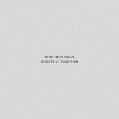 Nine Inch Nails: Ghosts V: Together, LP